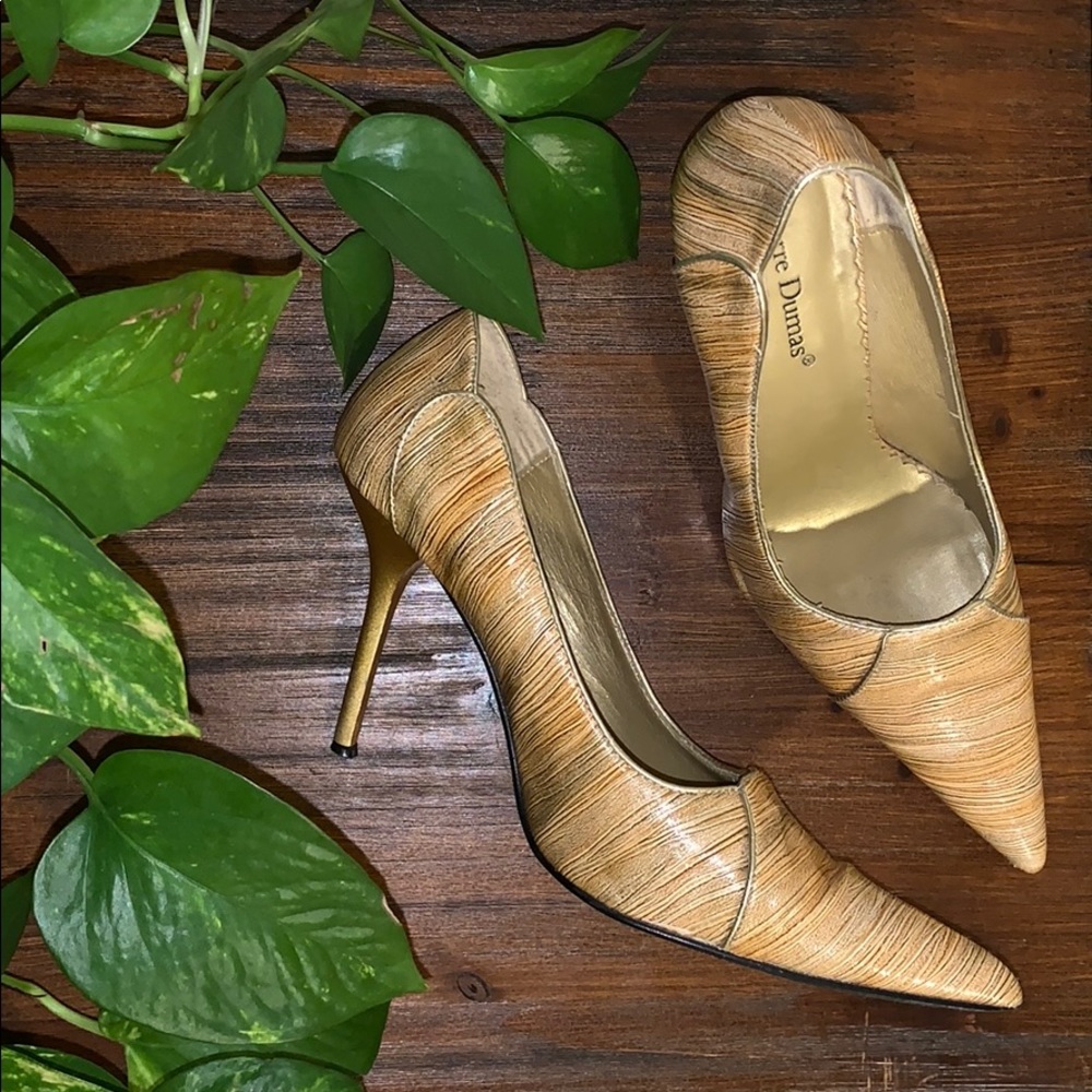 Classic Pierre Dumas Pumps